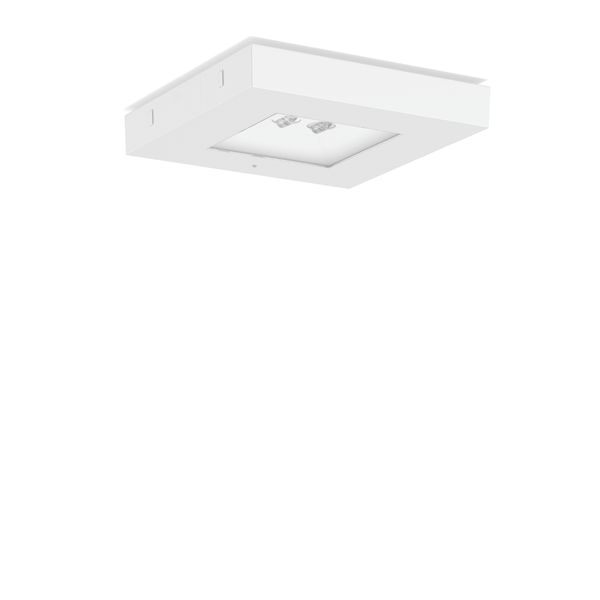 CENTRYXX IP65, 6,5 W, 450 lm, 765, white, on/off Ceiling luminaires, L image 1