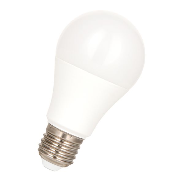 ecobasic LED A60 E27 240V 10W 4000K Opal image 1