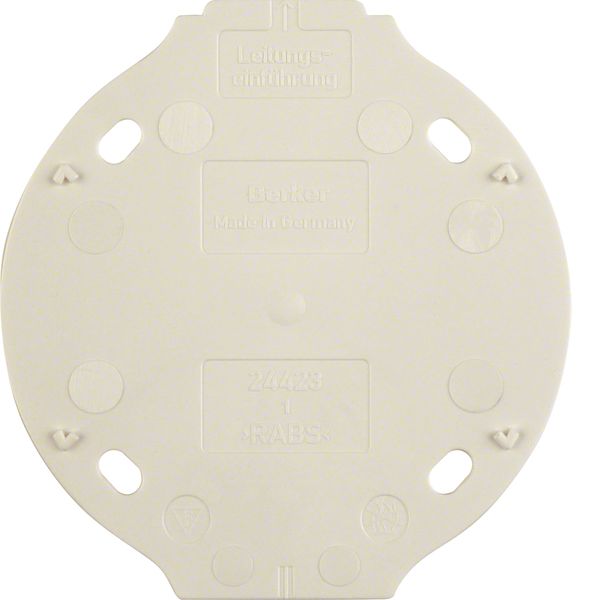 Base plate 1gang, self-extinguishing, 1930, p. white image 1