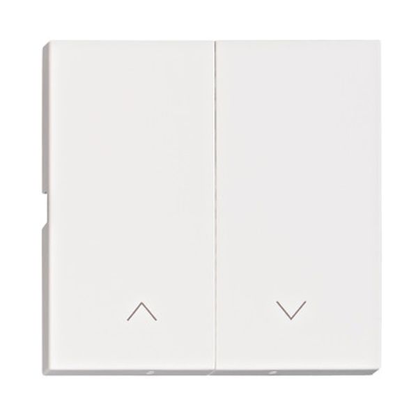 Rocker S 55, arrow symbol for blinds switch, push button, w image 1