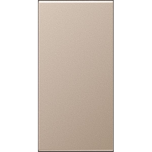 Centre plate A50NACH image 9