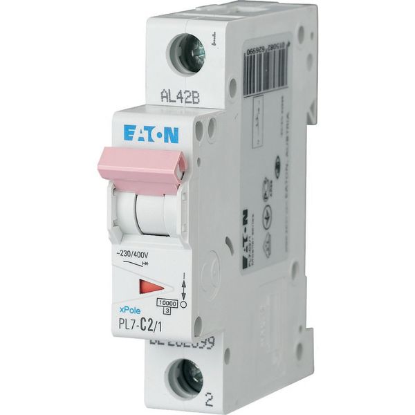 PL7-D2/1 Miniature circuit breaker (MCB), 2 A, 1p, characteristic: D image 1