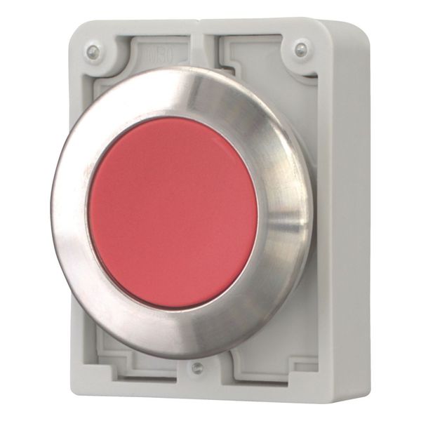 M30I-FDR-R Pushbutton, RMQ-Titan, flat, maintained, red, blank, Front ring stainless steel image 6