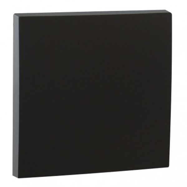 ROCKER FOR SWITCHES MATTE BLACK image 1