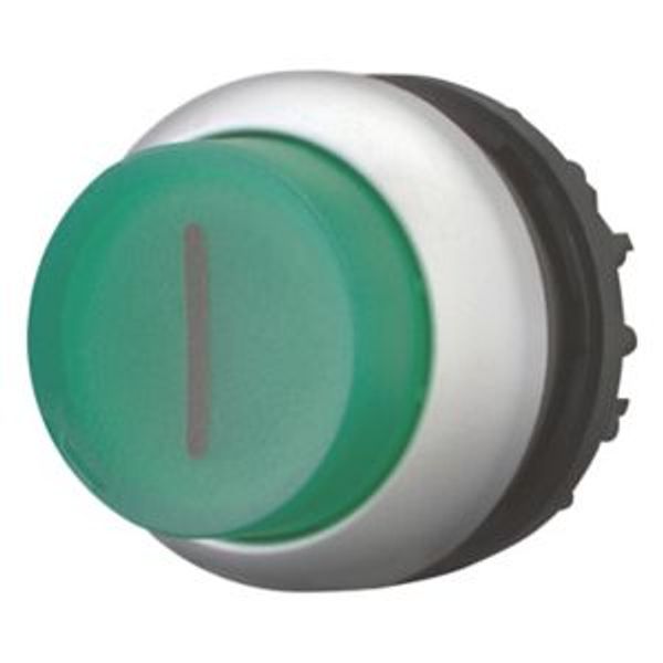 M22-DRLH-G-X1 Illuminated pushbutton actuator, RMQ-Titan, Extended, maintained, green, inscribed, Bezel: titanium image 8