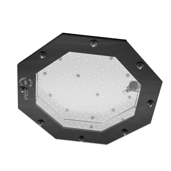 HBS120W5KC/DALI image 1