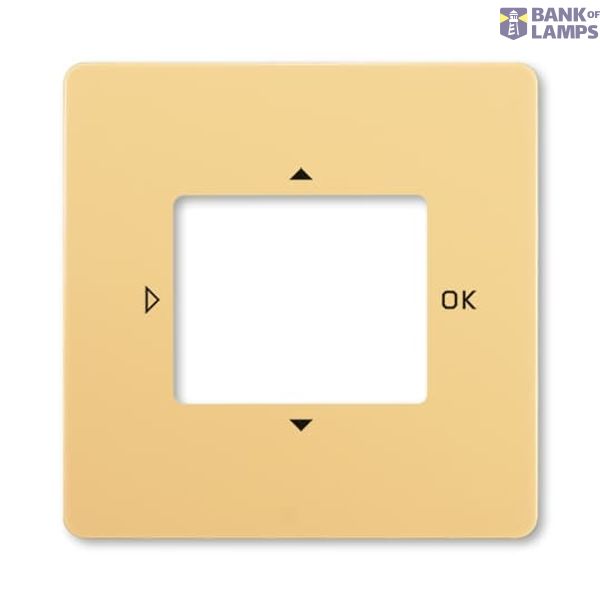 3299G-A40100 D1 Electronic Controls for Thermostat Touch control button beige - Swing image 1