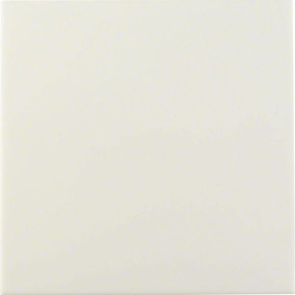 Blind plug for bus coupling unit, KNX - S.1, white glossy image 2