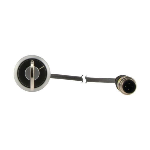 C22-WS-MS1-K10-P1 Key-operated actuator, RMQ compact solution, momentary, 1 N/O, Cable (black) with M12A plug, 4 pole, 0.2 m, 2 positions, MS1, Bezel: titanium image 14