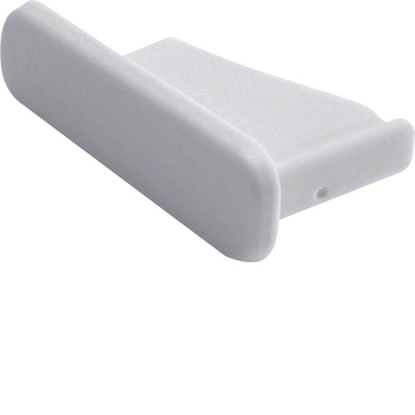 Endcap for busbar 1P image 1