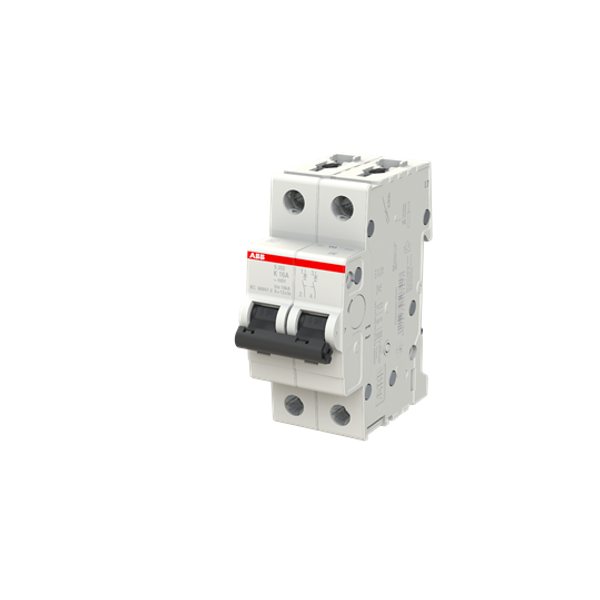S202-Z16 Miniature Circuit Breaker - 2P - Z - 16 A image 5