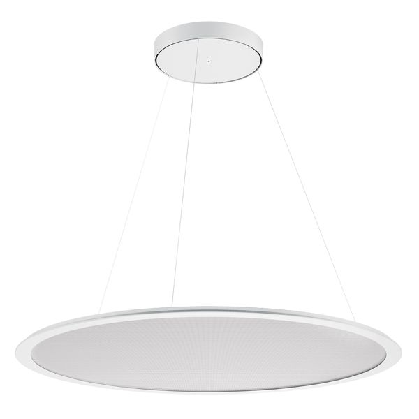 SL713 RL PL 62 S/C 830 WH9016 DALI MP image 2