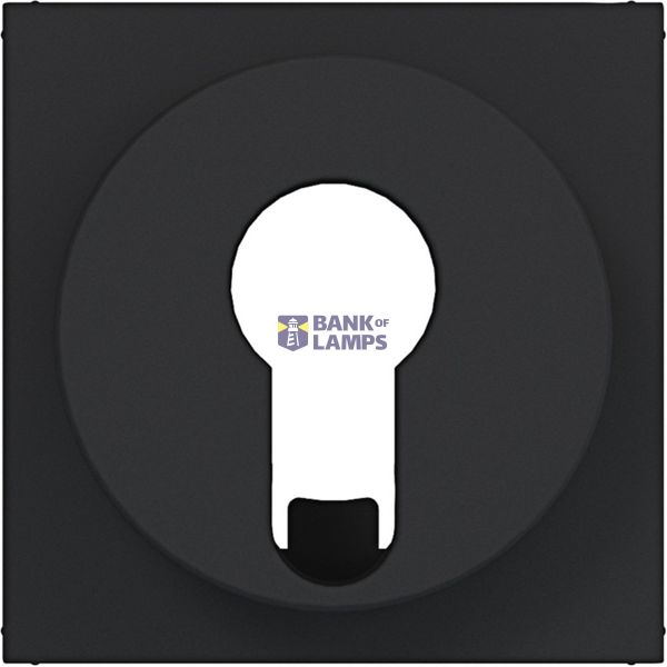 Central plate blind switch/pulse drive DIN cylinder A.x/C.x black material image 1