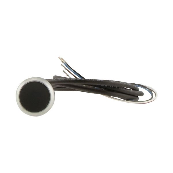 C22-D-S-K01-P62 Pushbutton, Flat, momentary, 1 NC, Cable (black) with non-terminated end, 4 pole, 1 m, black, Blank, Bezel: titanium image 13