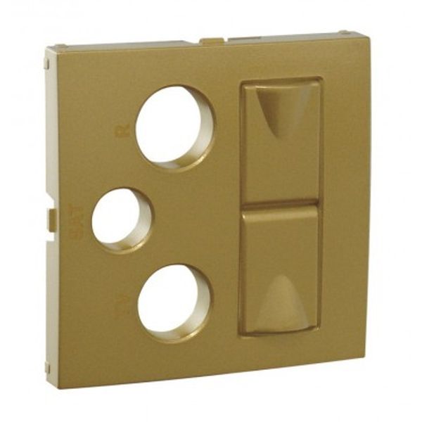 COV PLATE R-TV-SAT-2XRJ45 MULT SOCKET GOLDEN image 1
