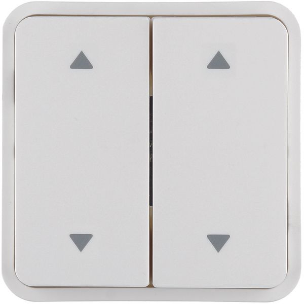Rocker 2gang f. W.1 push-button BCU, imprint 4 arrows top/bottom right image 1