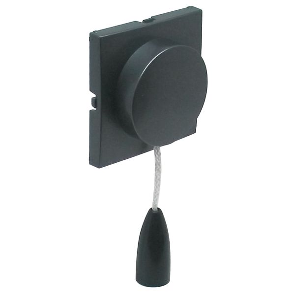 C.PLAT F/PULL-CORD PUSH-BUT/TWO-WAY SWITCH GR image 1