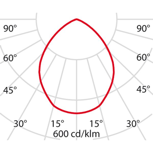DL ROUND MAXI 19 C/EW 930 ALU+NOOD1H image 6