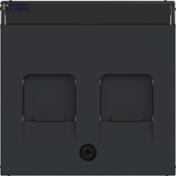 KeyStone 2-way central plate, dust shield, text field, A.x/C.x matte black image 1