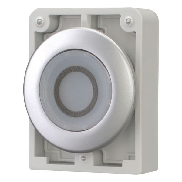 M30C-FDRL-W-X0 Illuminated pushbutton actuator, RMQ-Titan, Flat, maintained, White, inscribed 0, Metal bezel image 12