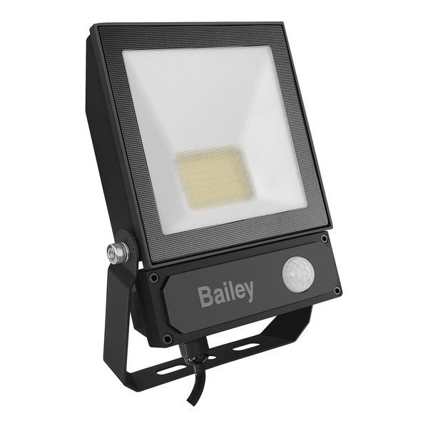 LED Floodlight Slim II Sensor 50W 6500K IP65 image 1