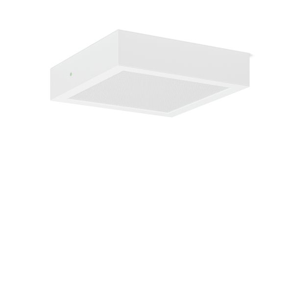TOLEDO FLAT+ square, 16 W, 1950 lm, 830, 840, white, on/off Surface mo image 1