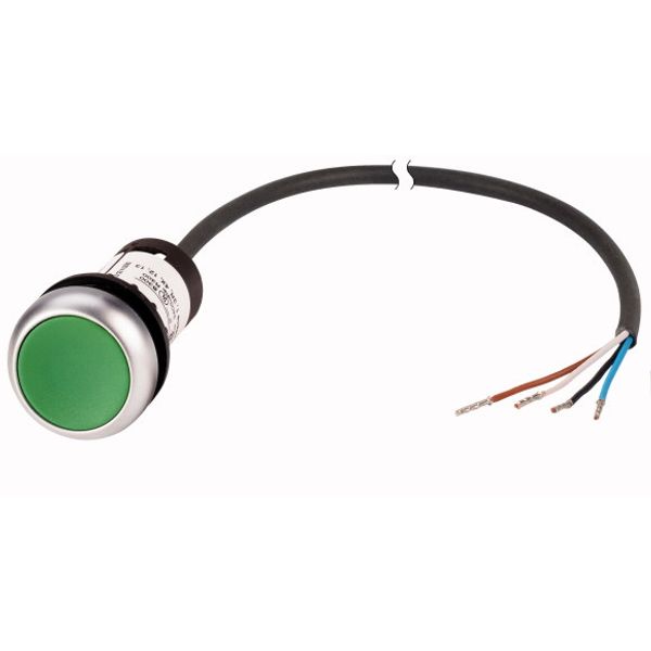 C22-DR-G-K10-P65 Pushbutton, classic, flat, maintained, 1 N/O, green, cable (black) with non-terminated end, 4 pole, 3.5 m image 1