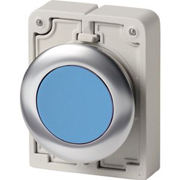 M30I-FDR-B Pushbutton, RMQ-Titan, flat, maintained, Blue, blank, Front ring stainless steel image 1