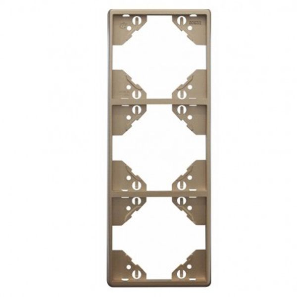 TRIPLE VERTICAL FRAME PLATINUM image 1