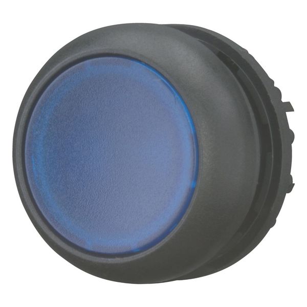 M22S-DL-B Illuminated pushbutton actuator, RMQ-Titan, Flush, momentary, Blue, Blank, Bezel: black image 5