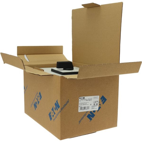 P3-100/I5 On-Off switch, P3, 100 A, surface mounting, 3 pole, with black thumb grip and front plate image 11