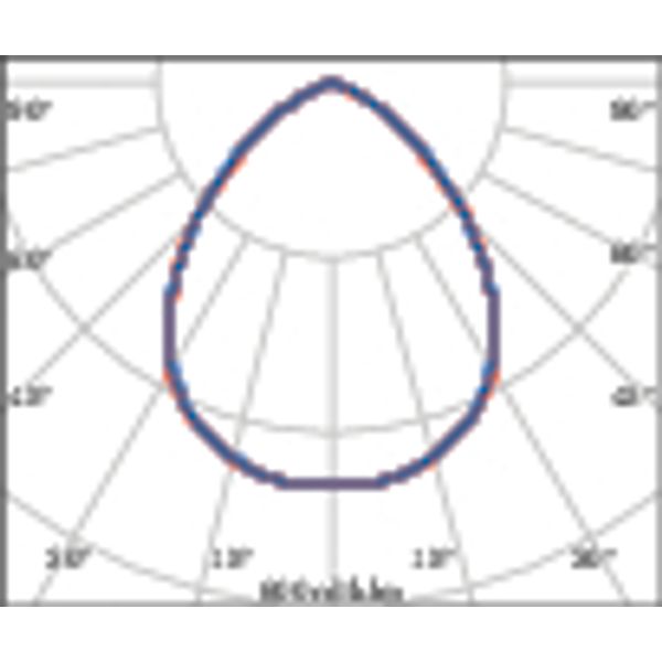 CRICKET+ 10 5 C/EW 840 MARINE SOFT image 4