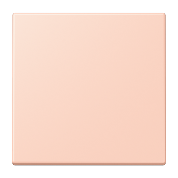 LB Management push-button 1-gang LC1700234 image 1