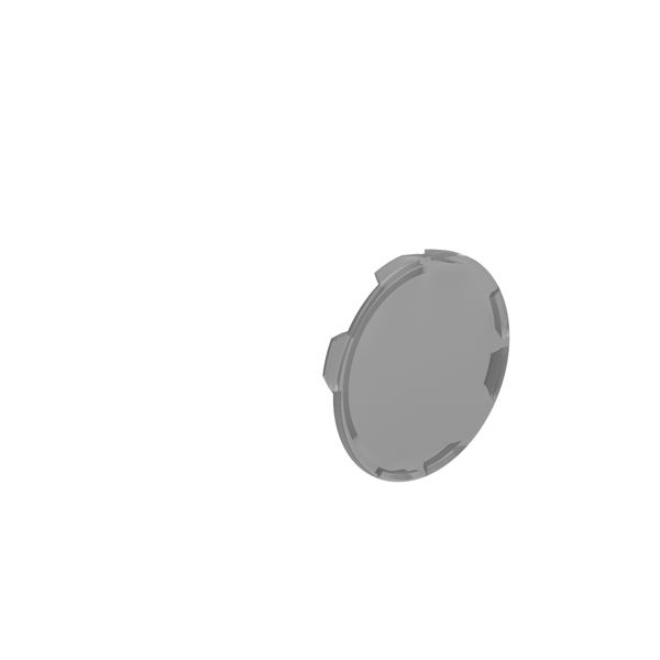 Flush lens for illuminated spring-return actuators, transparent image 1