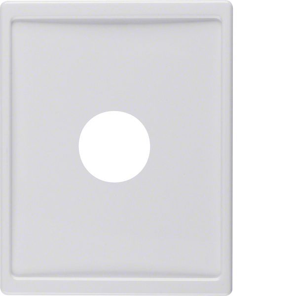 Centre plate plug-in opening for nurse call systems, arsys, p. white g image 3