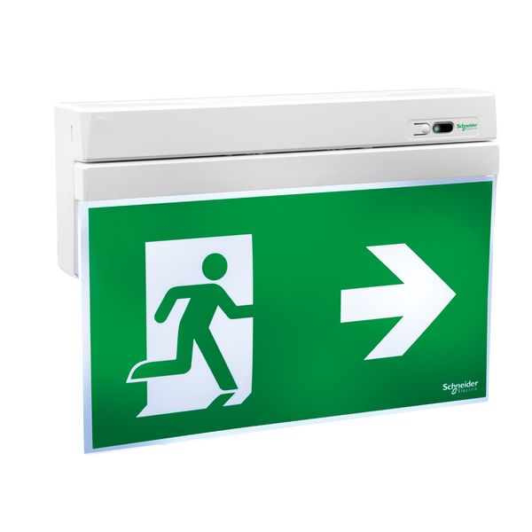 Exiway Smartexit, IP40, 230V Emergency Responder, 26m, Safety Signalling Device image 1