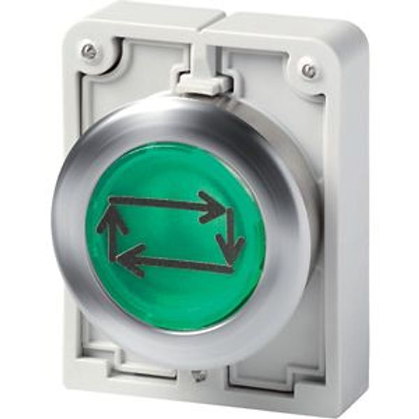 M30I-FDL-G-X32 Illuminated pushbutton actuator, Flat Front (drilling dimensions 30.5 mm), flat, momentary, green, inscribed, Front ring stainless steel image 2
