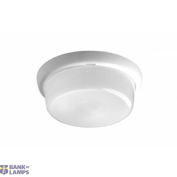 05905963888298 - Lena Lighting S.A. image 2