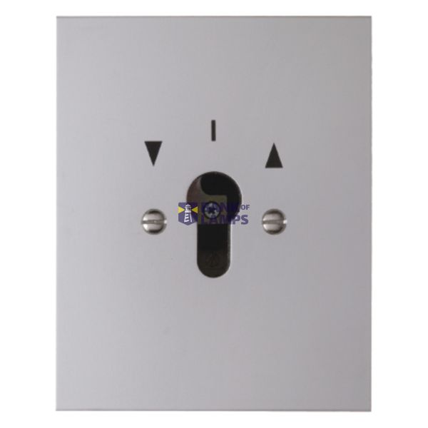 Blind switch 2-pole for key cylinder, flush-mounted, molded IP44 image 1