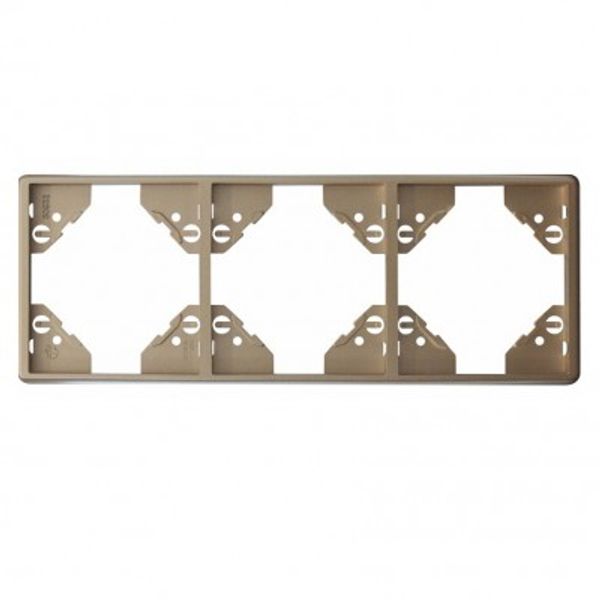 TRIPLE HORIZONTAL FRAME PLATINUM image 1