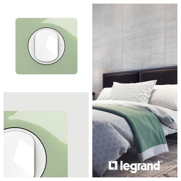 PLATE 1 GANG CELADON GREEN image 5