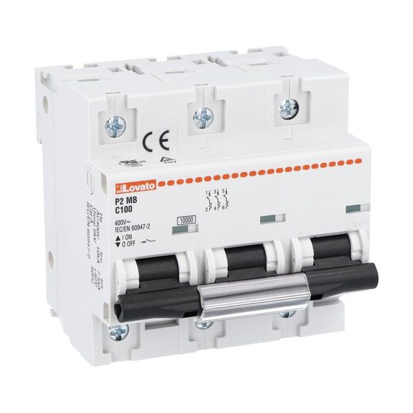 Miniature circuit breaker, 1P, 2P, 3P and 4P - 10kA, characteristic C, 100A image 1