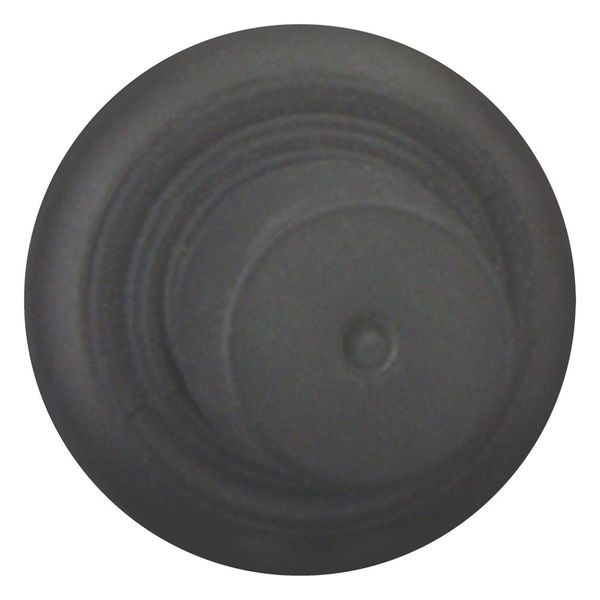 M22S-WJ2H Joystick, with one operating point per operating direction, With plastic shaft, 2 positions, Bezel: black, momentary, Horizontal image 3