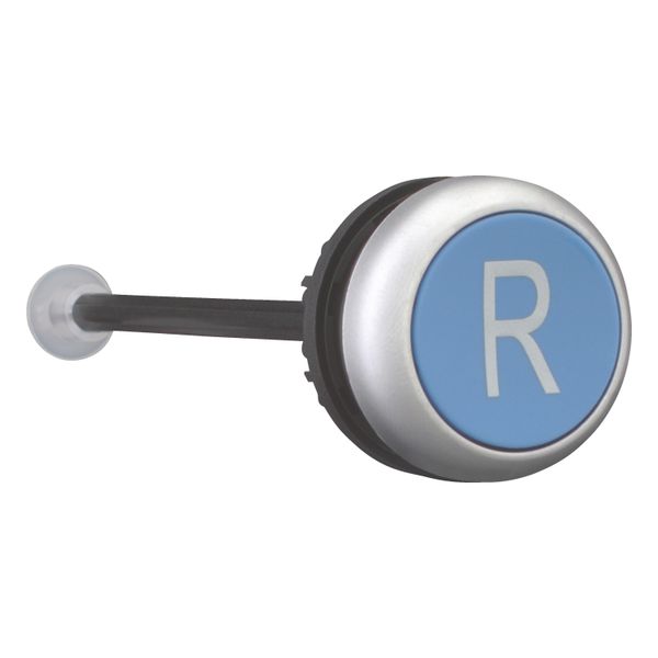 M22-DZ-B-X6 Release pushbutton, blue, R image 12