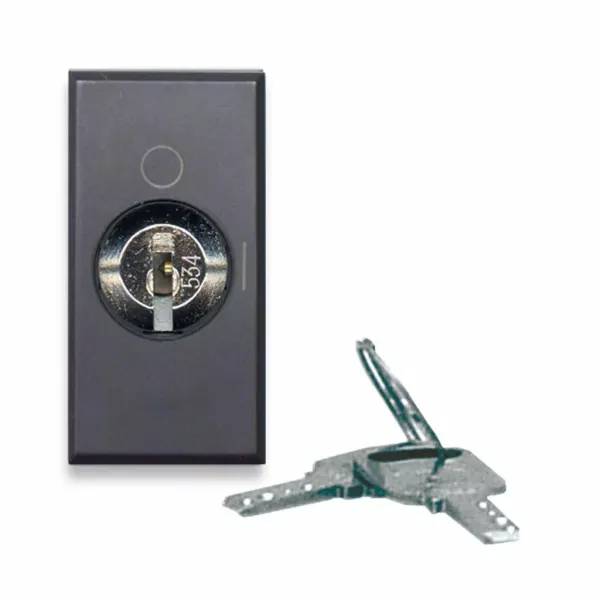 1 WAY SWITCH KEY REMOVABLE O POS.1M image 1
