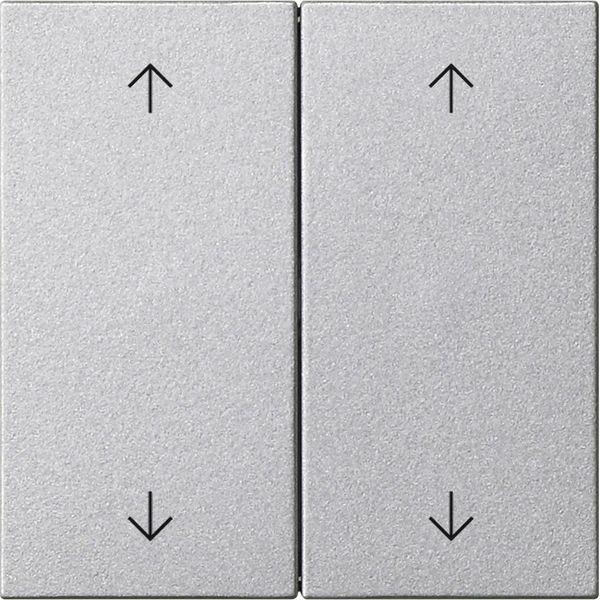 rocker 2-g arrows System 55 c.alum. image 1