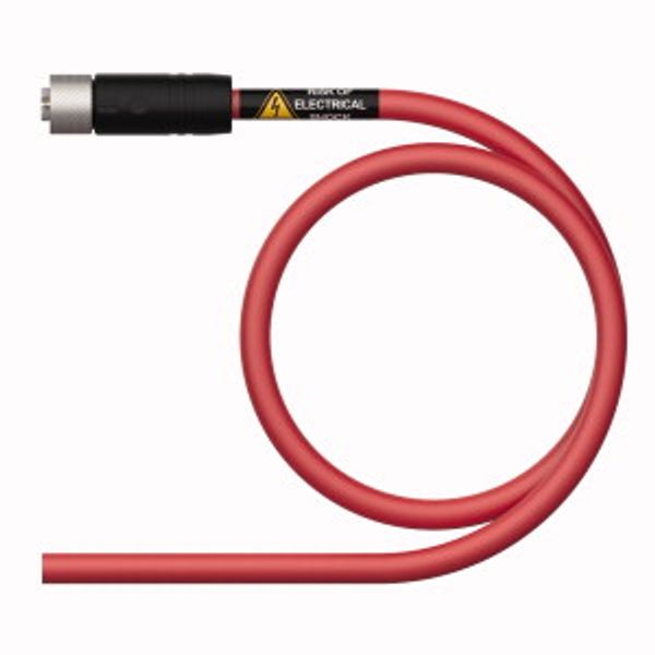 Supply Cable - M12 Power Connection Cable   RKP46PSB-50/TXR image 1