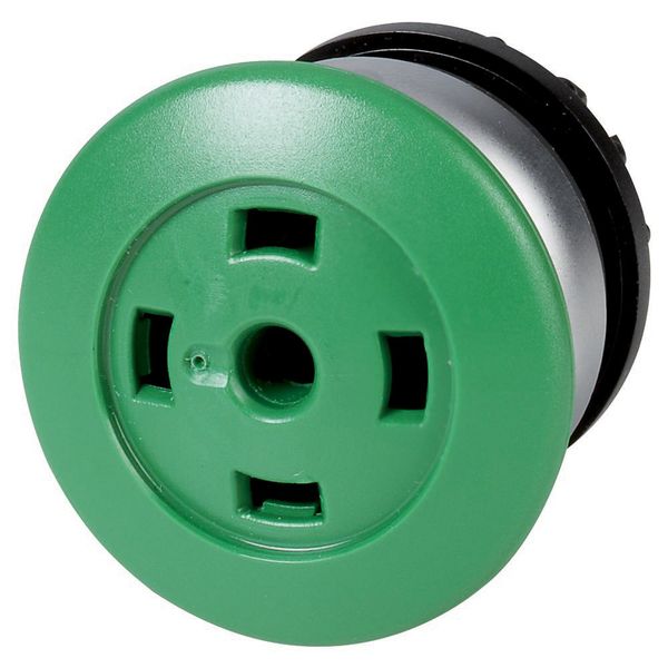 M22-DP-G-X-GVP Mushroom actuator, RMQ-Titan, Mushroom, momentary, Mushroom green, Without button plate, Without, Bezel: titanium image 2
