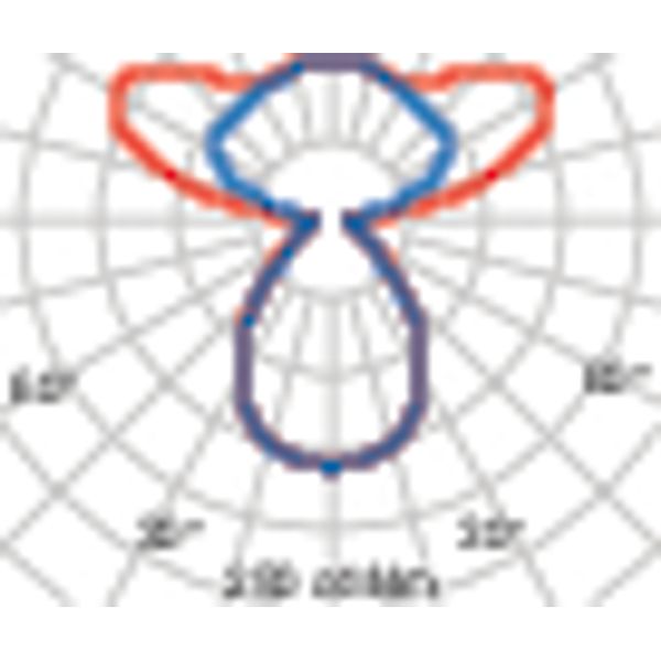 SL713+PL RXL 61 S/C 830 BK9005 DALI MP image 7