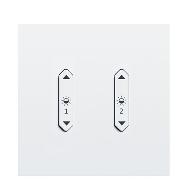 LM-RCW2 b+c - Rocker switch, 2x, light, white image 1